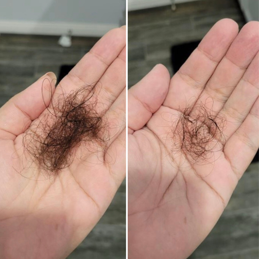 Soapnut Herbal Hair Cleanser